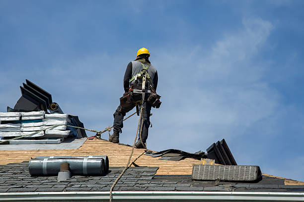 Professional Roof Replacement technician working in Edgewater, FL